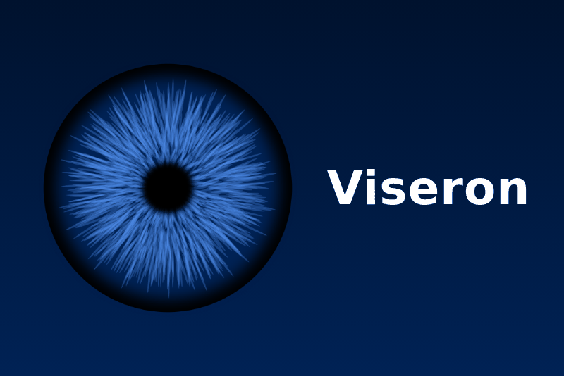 Integración Viseron para Gladys Assistant